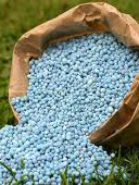 NPK Fertilizers