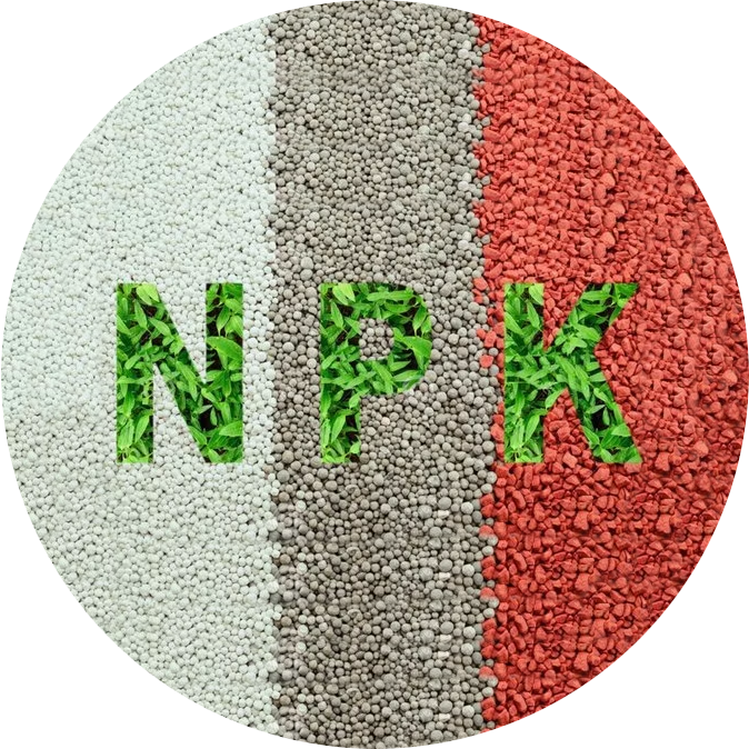 NPK Main